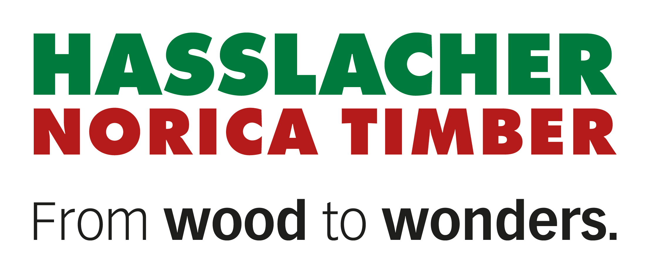 Hasslacher Logo Online