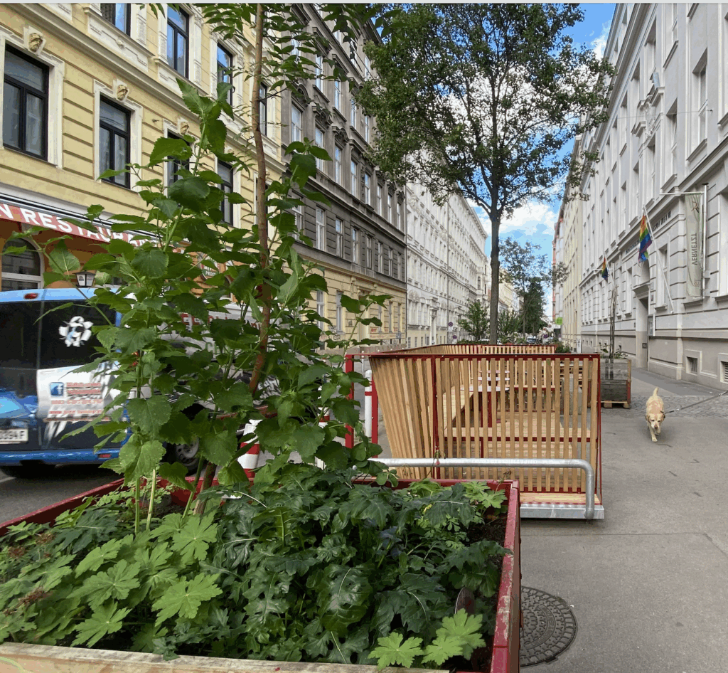 Schulprojekt Kandlgasse im Juni 2026. © Frank Gassner